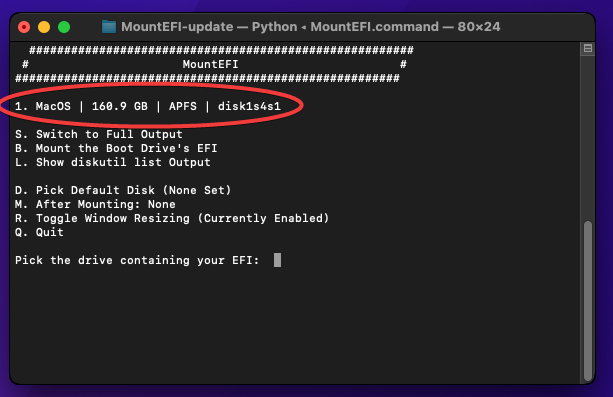 Terminal screen showing the list of drives to mount an EFI partition from